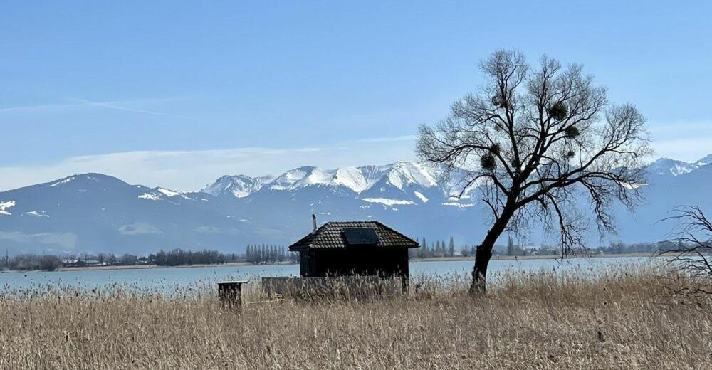 Bodensee Apartments, Sauna, Lake Walks, Free Parking, Self Checkin, Nature Reserve, Restaurants Nearby Gaissau  Exterior foto
